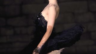 블랙스완 Black Swan 写真