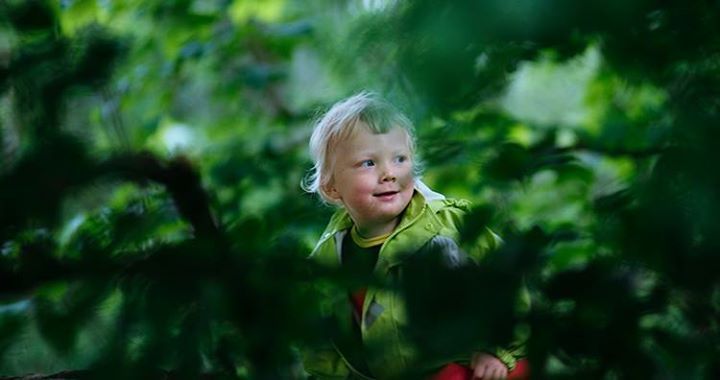 천사들의 합창: 노르웨이 유치원 Childhood 사진