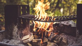 불: 바비큐의 진화 Over Fire: The Evolution of Barbecue รูปภาพ
