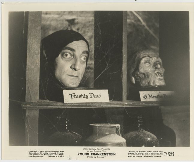 新科學怪人 Young Frankenstein Foto