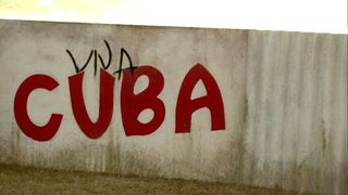 비바 쿠바 Viva Cuba劇照