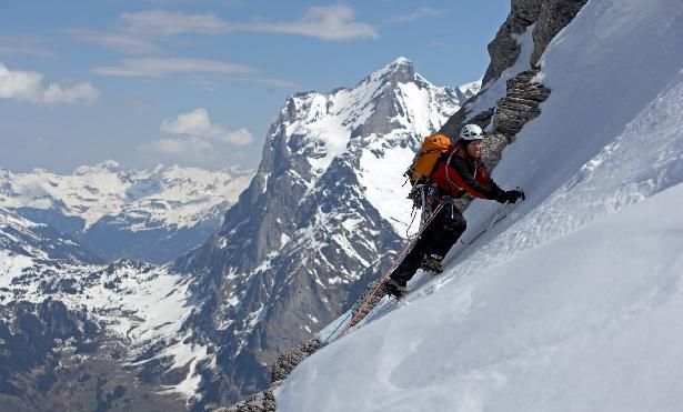 알프스: 아버지의꿈을찾아서 The Alps劇照