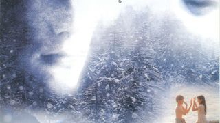 ヒマラヤ杉に降る雪 Photo